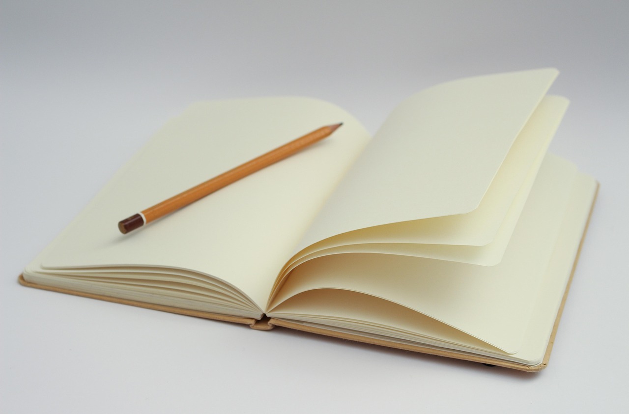The First Fifty Pages: How Literary Novels Earn Our Trust
